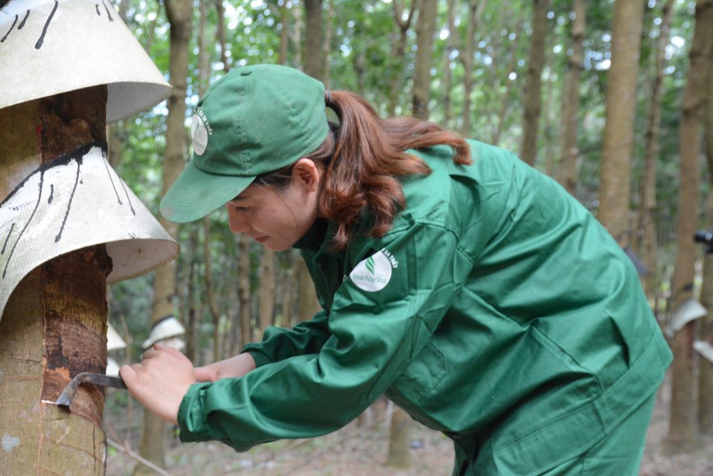 Cao su Sa Thầy xuất sắc thực hiện vượt tất cả các chỉ tiêu năm 2023
